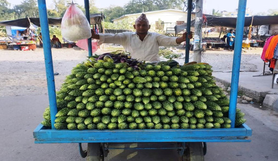 तितेकरेला बेच्दै हिँडेका व्यापारी