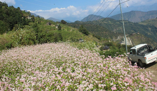 म्याग्दीका छ सय घरमा विद्युत् सुविधा विस्तार