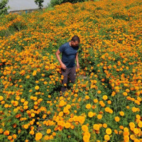 तीन खर्ब १० अर्ब रुपियाँको पेट्रोलियम पदार्थ आयात