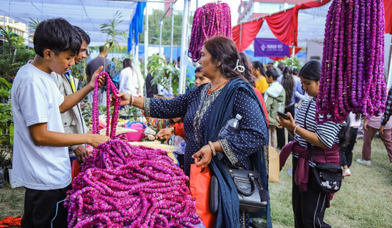 तिहारका लागि दुई लाख मखमली माला निर्यात हुने