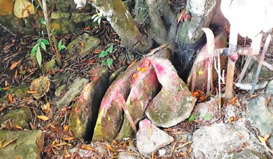 संरक्षणको पर्खाइमा डुकुरसिं महादेव