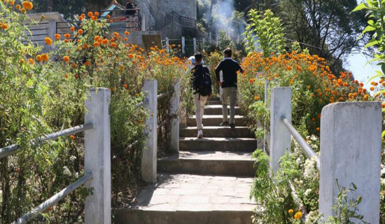 मझुवागढीलाई ‘फूलैफूलको पहाड’ बनाउने अभियान