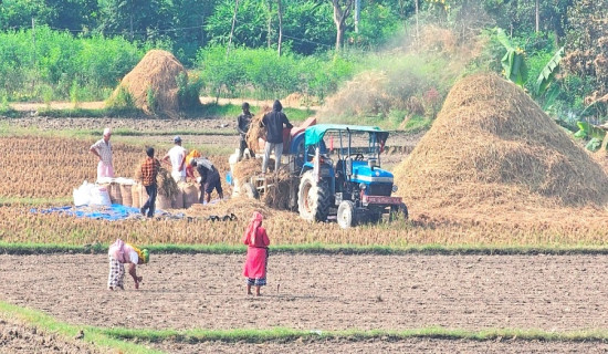 झडप  राेक्न १५ सेल टियर ग्याँस प्रहार : ११ जना घाइते