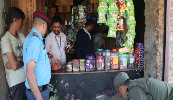 दाङ २ मा माओवादी नेत्री शर्मा विजयी, एमाले महासचिव पोखरेल पराजित