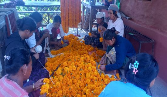 अनुदानले बढायो फूलखेतीमा कृषकको आकर्षण