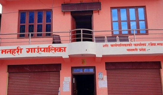 चामल बेपत्ता बनाउने फर्मलाई जरिवाना