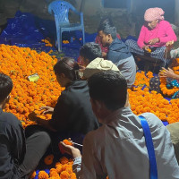 युवा पुस्तामा लागु औषध दुर्व्यसन बढ्दाे