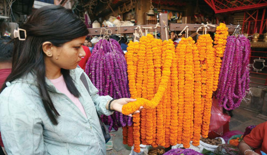 तिहारमा फूलको झिलिमिली