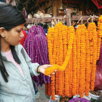 नइलाई डा.उपाध्यायबाट २३ लाख प्रदान