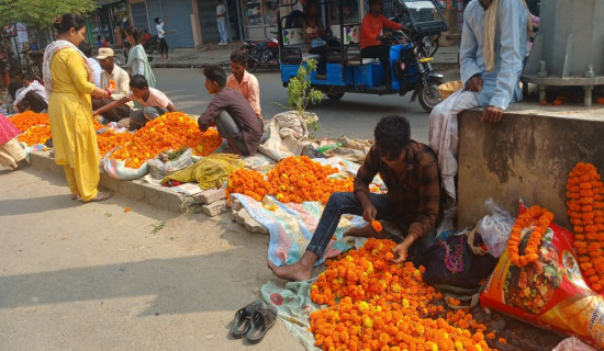 भारतीय फूल आयात हुँदा नेपाली व्यवसायी मर्कामा