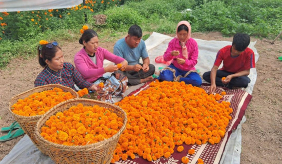 काठमाडौँको तापक्रम ३२ डिग्री सेल्सियस पुग्ने