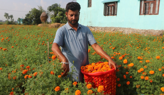 फूल खेतीमा रमाउँदै अर्याल