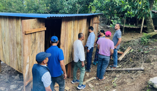 अनुदान पाएपछि बाख्रा पालक कृषक उत्साहित