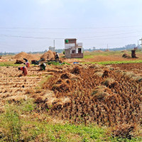 विकास निर्माणमा ऐक्यबद्धता