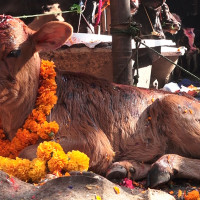 वृहत् यौनिक शिक्षा सम्बन्धी कार्यशाला सम्पन्न