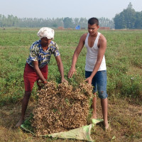 लामिछानेका कागजपत्र झिकाइयो