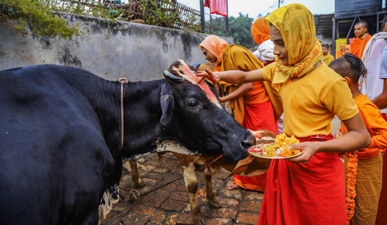 ‘हिडौं साथ साथ’ वाकाथोन कार्यक्रम सम्पन्न