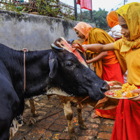 त्रिचन्द्र कलेजको भवन प्रबलीकरण कार्य सुरु