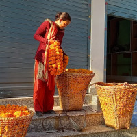 सुत्केरीको हेलिकोप्टरबाट उद्धार