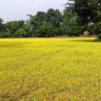 ‘कृषकसँग कृषि प्राविधिक’बाट किसान लाभान्वित