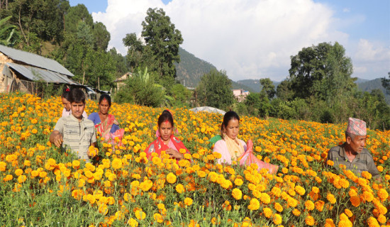 कर्णाली सरकारले ल्यायो ३२ अर्ब ६१ करोड ६१ लाख ६१ हजारको बजेट