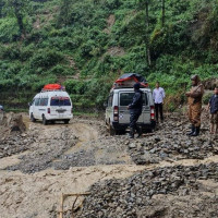 बाघको आक्रमणबाट एक युवतीको मृत्यु, बाघ धपाउन पाँच राउण्ड हवाई फायर