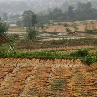 वाह ! महावुमा श्रद्धालुको ओइरो (फोटो फिचर)