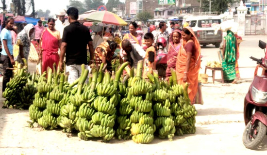 प्रविधिको विकास नै समृद्धिको आधार हो : मुख्यमन्त्री राउत