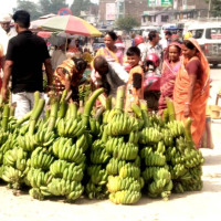 मधेश प्रदेशमा मङ्गलबारदेखि घुम्ती कोभिड खोप सेवा सञ्चालन