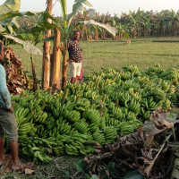 भूकम्पपीडितलाई अनुदान रकम लिन सकस