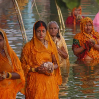 ड्रागन फ्रुटको व्यावसायिक खेतीबाट मनग्य आम्दानी