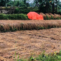 चिनियाँ प्रधानमन्त्री ली किआङ देशले विकास लक्ष्य हासिल गर्नेमा ‘पूर्ण विश्वस्त’