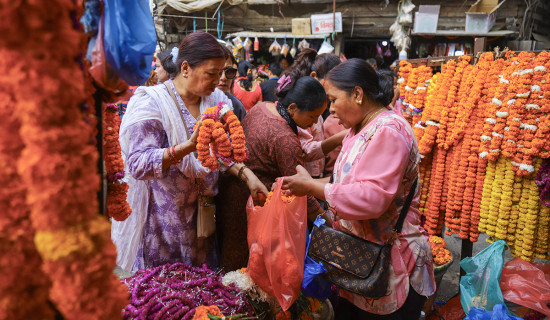 तिहारमा ५० करोडको फूल बेचियो