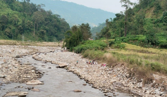 खोलामा अवैध ढङ्गले माछा मार्ने बढे