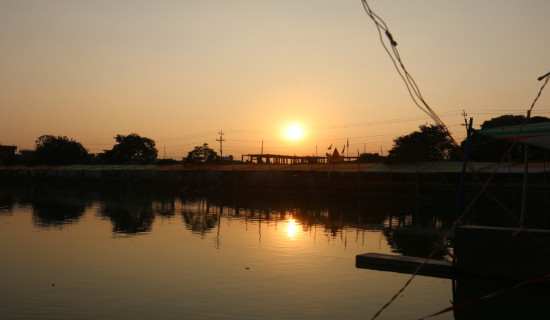 रुखबाट खसेर वृद्धको मृत्यु