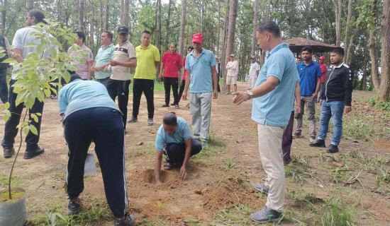 काँक्रेविहारमा वनभोज बन्द