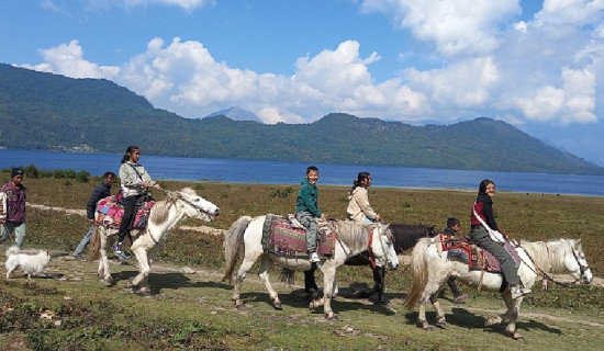 नगरपालिकाविरुद्ध १० वडा अध्यक्षले हाले मुद्दा