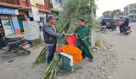 बाँसको लिङ्गो किनमेल