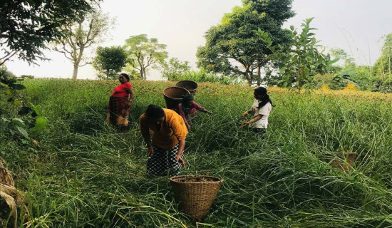 समावेशीकरणको दिशामा नयाँ फड्को : गोरखापत्रद्वारा प्रकाशित बराम भाषा