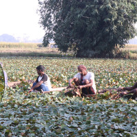 श्रमिकको कानुन कार्यान्वयन हुनुपर्छ