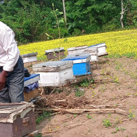 लक्ष्यभन्दा कम राजस्व सङ्कलन