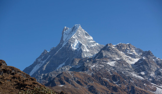 मेचीपारिका किसानलाई कृषि सामग्री वितरण