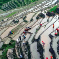 दसैँको बेला साहूको ऋणबाट तर्किन जङ्गलमा बास