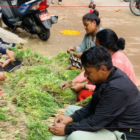 महिलाका लागि आम्दानीको आधार बन्दै घोँगी व्यापार