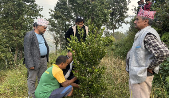 माओवादीको केन्द्रीय समिति बैठक जारी