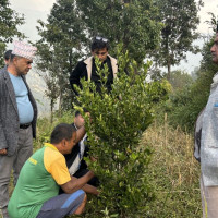 प्रचण्ड नेतृत्वको मन्त्रिपरिषद् पुनर्गठन : तीन मन्त्रीको शपथ