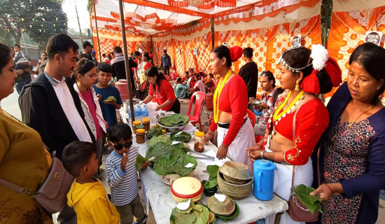 महिला स्वरोजगार मेला सुरु