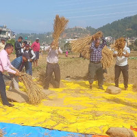 १५ करोड थान सिक्का टकमरी गर्न राष्ट्र बैङ्कलाई स्वीकृत दिने सरकारको निर्णय