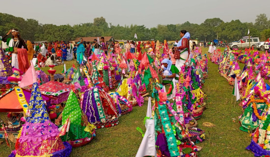 छ सयभन्दा बढीको तिस करोड ठगी, दुई जना पक्राउ