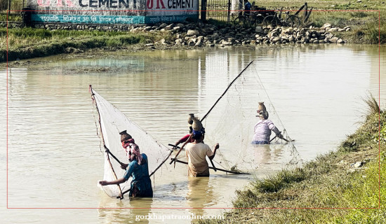 माछा मार्दै